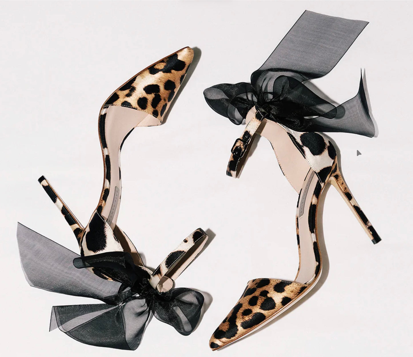 Bow bow heels in leo